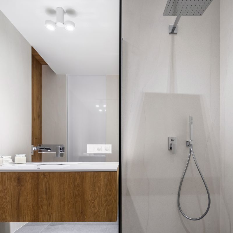 Contemporary Shower